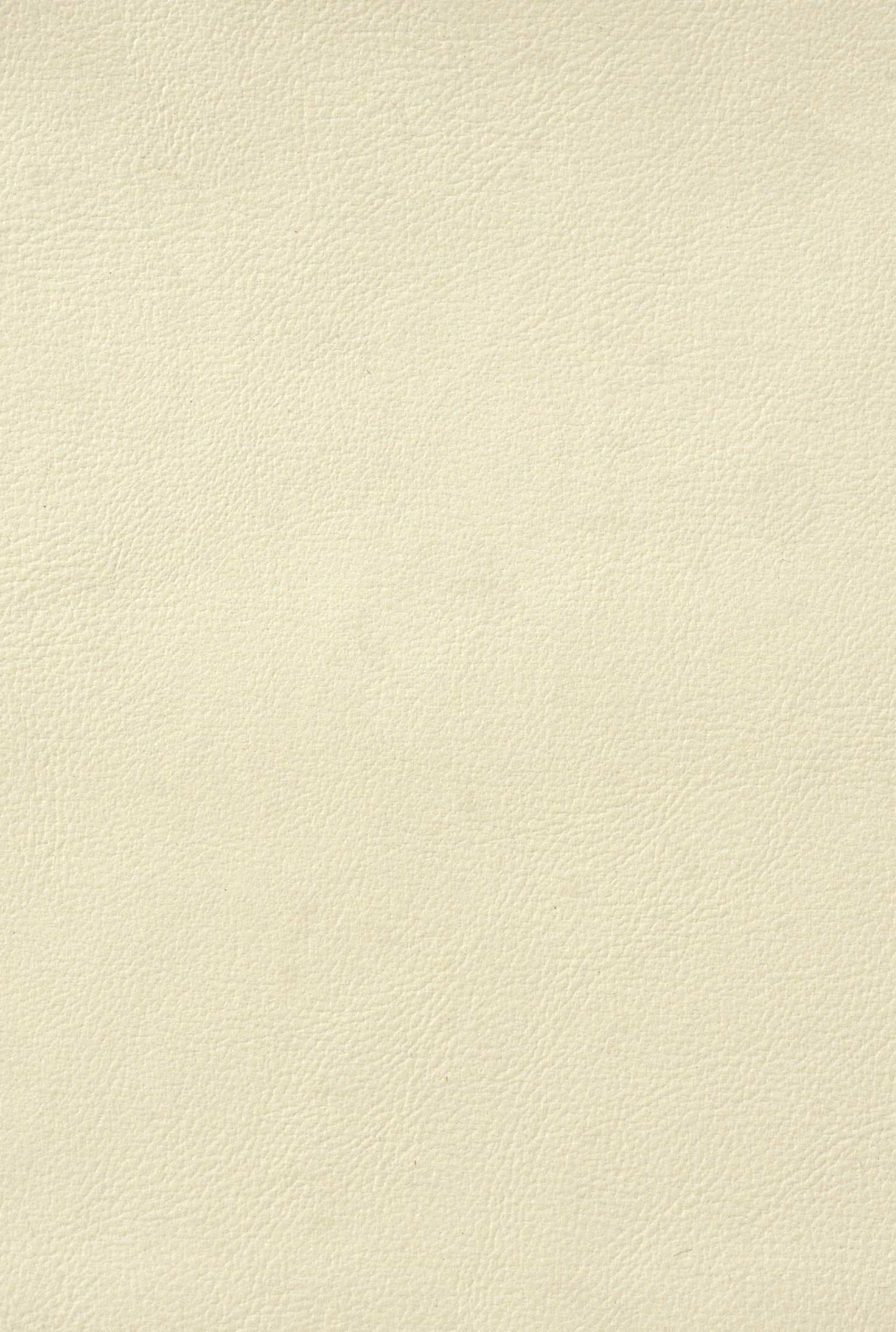 PAISLEY 204 leather-touch catalogue board, tone 4