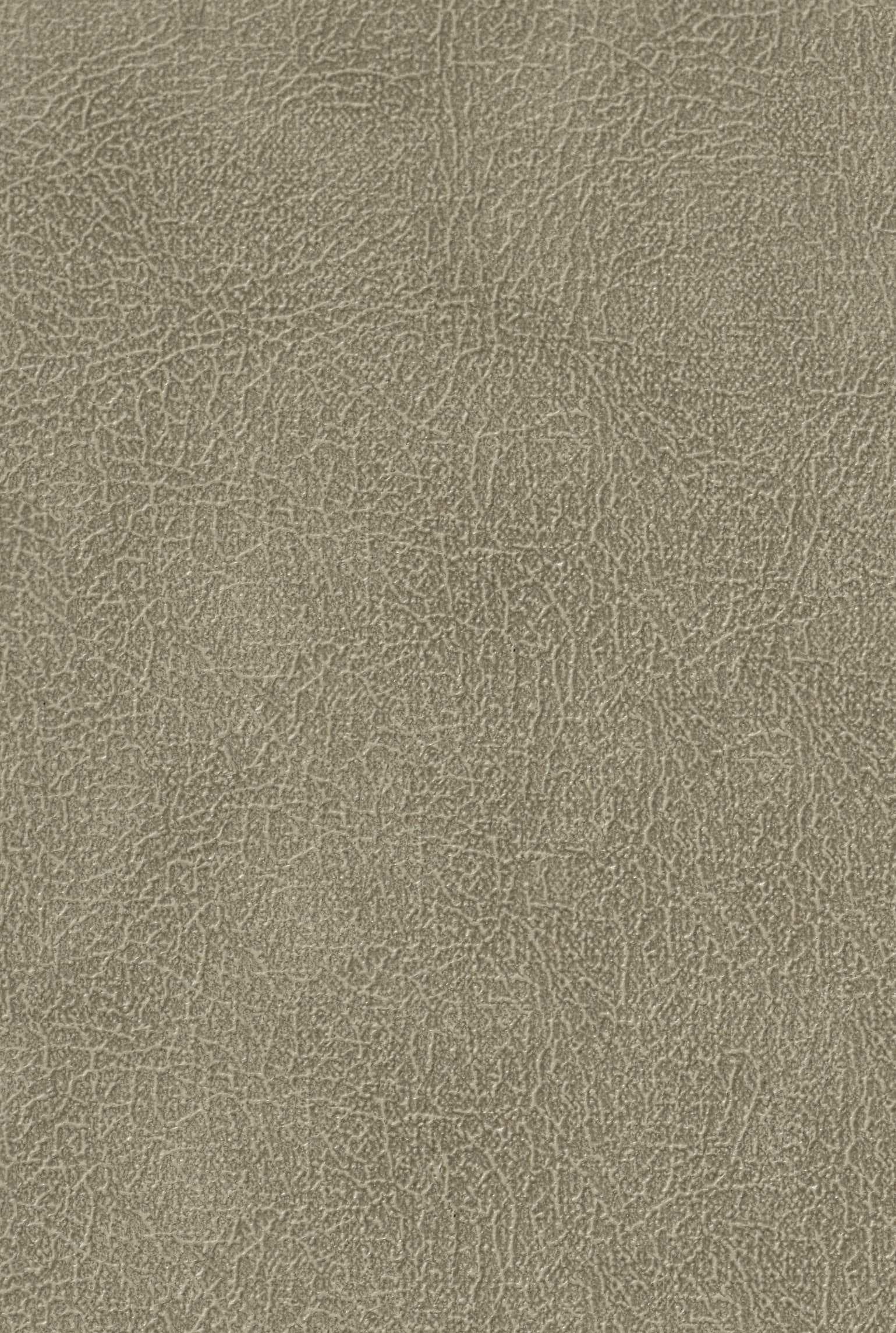 CARLTON 204 leather-suede texture board, serial 204