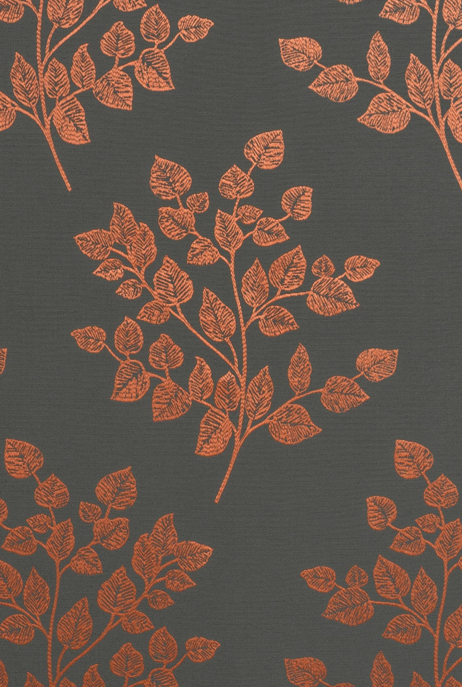Pushkar Orchid 1702 - 03