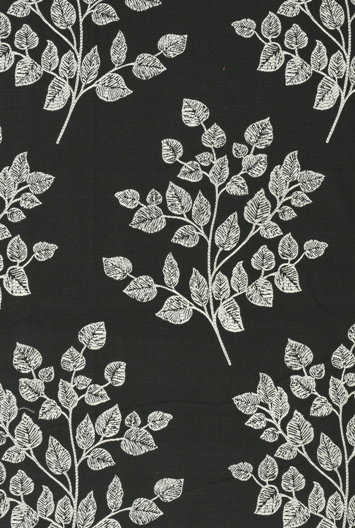 Pushkar Orchid 1702 - 04